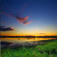 Хорошие тесты для девочек 