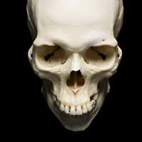 Тест на дату моей смерти точный расчет