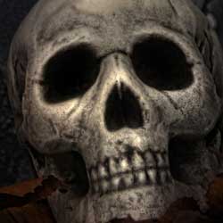 Тест рассчитать дату своей смерти