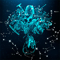 Краткий гороскоп на сегодня для всех знаков Зодиака.