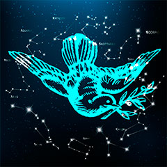 Любовный гороскоп на сегодня для всех знаков Зодиака