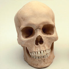 Когда я умру