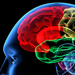 Каков мой уровень ума