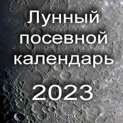 Лунный посевной календарь садовода и огородника на 2023 год 