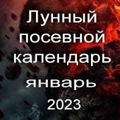 Лунный посевной календарь садовода и огородника на январь 2023 года благоприятные дни посадки овощей, высадки саженцев и посева зелени.