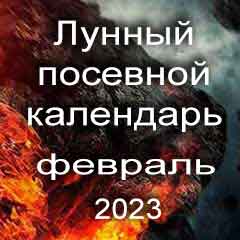 Лунный посевной календарь садовода и огородника на февраль 2023 года благоприятные дни посадки овощей, высадки саженцев и посева зелени.