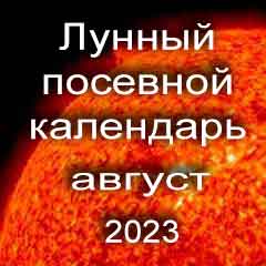 Лунный посевной календарь садовода и огородника на август 2023 года благоприятные дни посадки овощей, высадки саженцев и посева зелени.