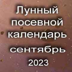 Лунный посевной календарь садовода и огородника на сентябрь 2023 года благоприятные дни посадки овощей, высадки саженцев и посева зелени.