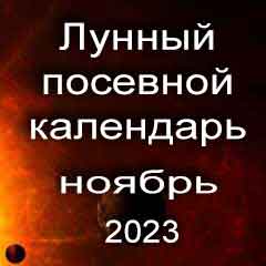 Лунный посевной календарь садовода и огородника на ноябрь 2023 года благоприятные дни посадки овощей, высадки саженцев и посева зелени.