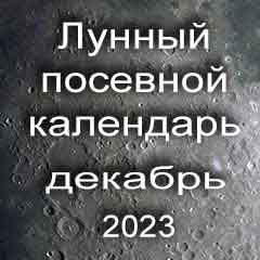 Лунный посевной календарь садовода и огородника на декабрь 2023 года благоприятные дни посадки овощей, высадки саженцев и посева зелени.