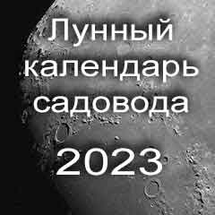 Лунный посевной календарь садовода на 2023 год благоприятные дни для посадки.