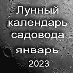 Лунный посевной календарь садовода на январь 2023 года