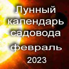 Лунный посевной календарь садовода на февраль 2023 года