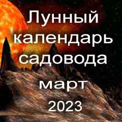 Лунный посевной календарь садовода на март 2023 года благоприятные дни посадки.
