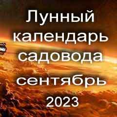 Лунный посевной календарь садовода на сентябрь 2023 года благоприятные дни для посадки.