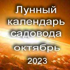 Лунный посевной календарь садовода на октябрь 2023 года благоприятные дни для посадки.