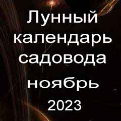 Лунный посевной календарь садовода на ноябрь 2023 года благоприятные дни для посадки.