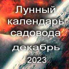 Лунный посевной календарь садовода на декабрь 2023 года благоприятные дни для посадки.