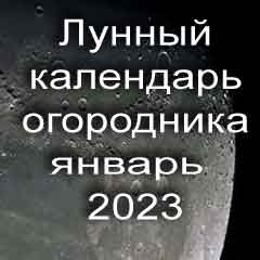 Лунный календарь огородника на январь 2023 года благоприятные дни для посадки.