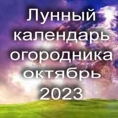 Лунный календарь огородника на октябрь 2023 года благоприятный день для посадки овощей.