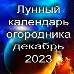 Лунный календарь огородника на декабрь 2023 года благоприятные дни для посадки.