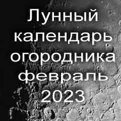 Лунный календарь огородника на февраль 2023 года благоприятные дни для посадки.