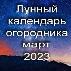 Лунный календарь огородника на март 2023 года благоприятные дни для посадки.