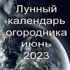 Лунный календарь огородника на июнь 2023 года благоприятный день для посадки овощей.