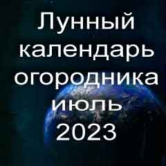 Лунный календарь огородника на июль 2023 года благоприятный день для посадки овощей.