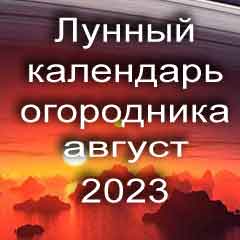 Лунный календарь огородника на август 2023 года благоприятный день для посадки овощей.