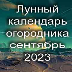 Лунный календарь огородника на сентябрь 2023 года благоприятный день для посадки овощей.