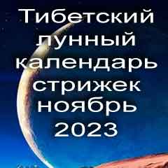 Лунный календарь стрижек волос на ноябрь 2023 года  благоприятные дни по лунному тибетскому календарю.