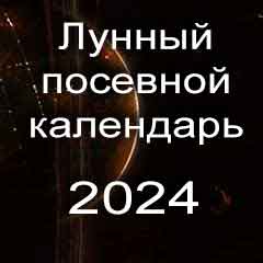 Лунный посевной календарь садовода и огородника на 2024 год, благоприятные дни для посадки овощей и саженцев плодовых деревьев, посева полезных растений.