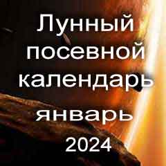 Лунный посевной календарь садовода и огородника на январь 2024 года благоприятные дни посадки овощей, высадки саженцев и посева зелени.