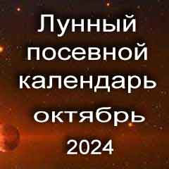 Лунный посевной календарь садовода и огородника на октябрь 2024 года благоприятные дни посадки овощей, высадки саженцев и посева зелени.