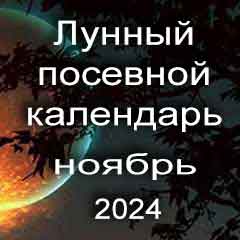 Лунный посевной календарь садовода и огородника на ноябрь 2024 года благоприятные дни посадки овощей, высадки саженцев и посева зелени.