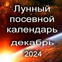 Лунный посевной календарь садовода и огородника на декабрь 2024 года благоприятные дни посадки овощей, высадки саженцев и посева зелени.