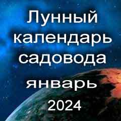 Лунный посевной календарь садовода на январь 2024 года благоприятные дни для посадки.