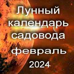 Лунный посевной календарь садовода на февраль 2024 года благоприятные дни для посадки.