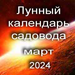 Лунный посевной календарь садовода на март 2024 года благоприятные дни для посадки.