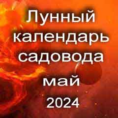 Лунный посевной календарь садовода на май 2024 года благоприятные дни для посадки.