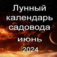 Лунный посевной календарь садовода на июнь 2024 года благоприятные дни для посадки.