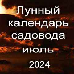 Лунный посевной календарь садовода на июль 2024 года благоприятные дни для посадки.