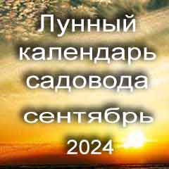 Лунный посевной календарь садовода на сентябрь 2024 года благоприятные дни для посадки.