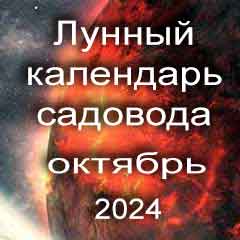 Лунный посевной календарь садовода на октябрь 2024 года благоприятные дни для посадки.