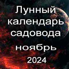 Лунный посевной календарь садовода на ноябрь 2024 года благоприятные дни для посадки.