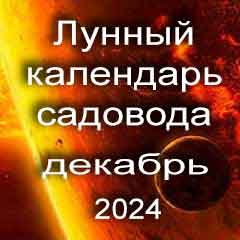 Лунный посевной календарь садовода на декабрь 2024 года благоприятные дни для посадки.