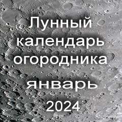 Лунный календарь посадок на январь 2024 года огородника 