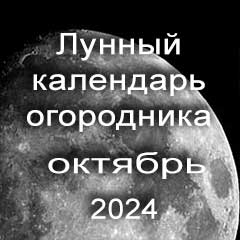 Лунный календарь огородника на октябрь 2024 года благоприятный день для посадки овощей.