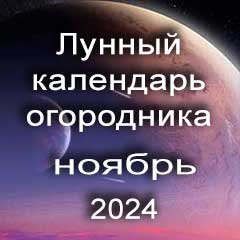 Лунный календарь огородника на ноябрь 2024 года